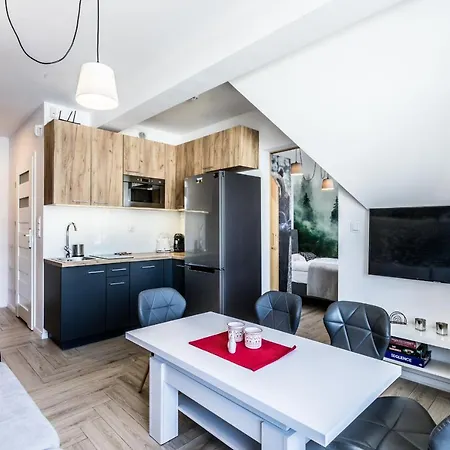 Aparthost Apartament Wyjatkowe Kościelisko Exterior foto